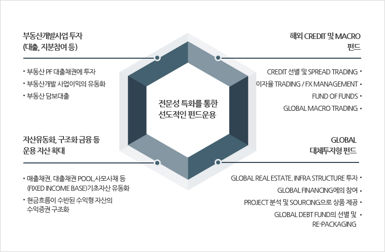전문성 특화를 통한 선도적인 펀드운용 | 부동산개발사업 투자(대출, 지분참여 증): -부동산 PF 대출채권에 투자, -부동산개발 사업이익의 유동화, - 부동산 담보대출 / 
		해외 Credit 및 Macro 펀드: - Credit 선별 및 Spread Trading, - 이자율 Trading / FX Management, - Fund of Funds, - Global Macro Trading / 
		자산유동화, 구조화 금융 등 운용 자산 확대: - 매출채권, 대출채권 Pool, 사모사채 등(Fixed Income Base) 기초자산 유동화, - 현금흐름이 수반된 수익형 자산의 수익증권 구조화 / 
		Global 대체투자형 펀드: - Global Real Estate, Infra Structure 투자, - Global Financing에의 참여, - Project 분석 및 Sourcing으로 상품 제공, Global Debt Fund의 선별 및 
	    Re-packaging